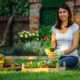 Plant a Backyard Garden at Your Wake Forest House