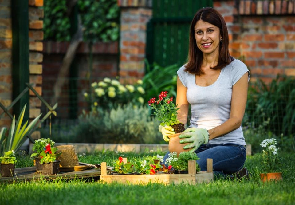 Plant a Backyard Garden at Your Wake Forest House