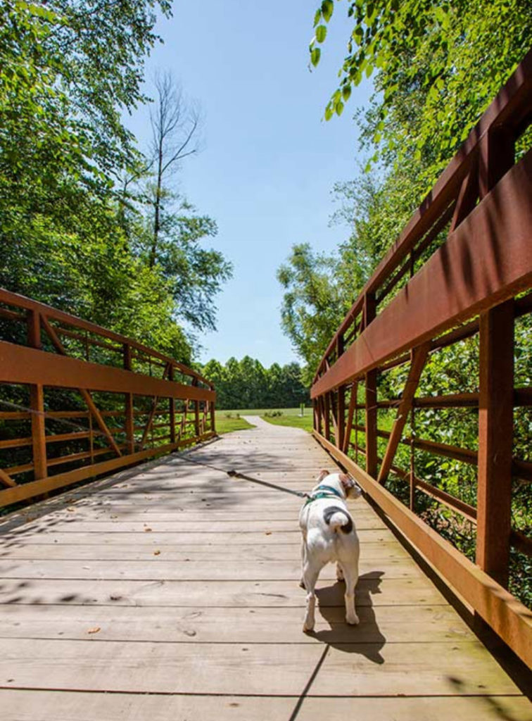 Wake Forest Map Holding Village