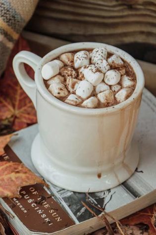 Hot Cocoa Holding Village